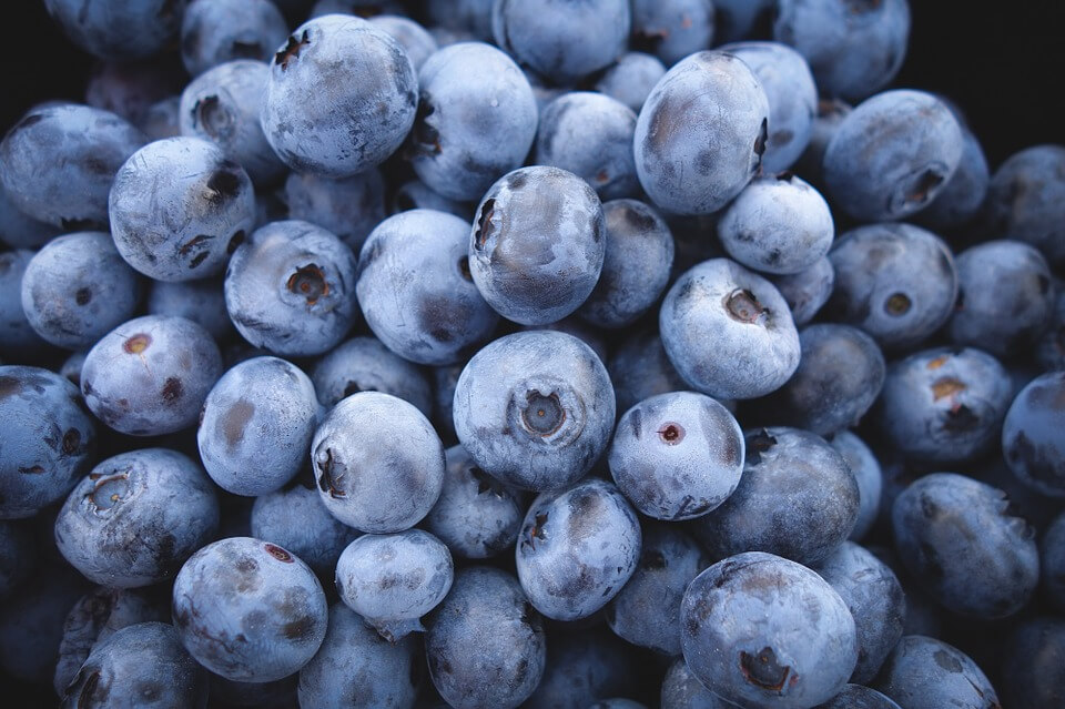 Chinese Bilberry Extracts Antioxidant