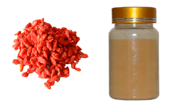 Chinese wolfberry extract,goji berry,