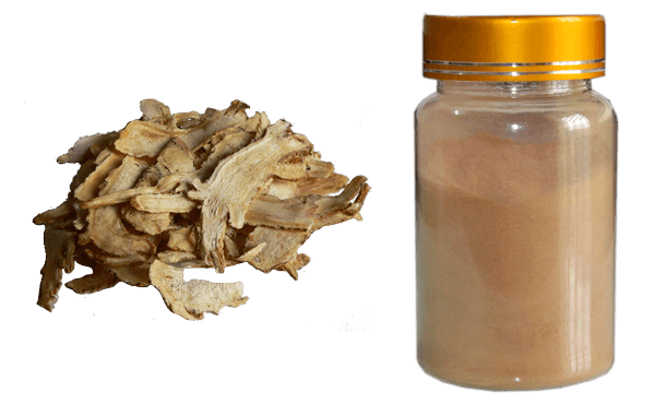 Dong Quai extract,angelica root extract