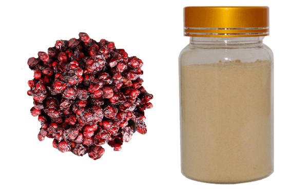 Schisandra chinensis extract,schizandrins