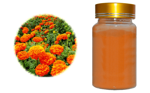 Marigold extract,lutein