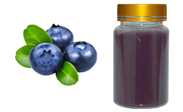 bilberry extract, blueberry extract