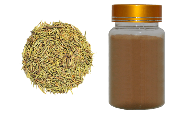 Rosemary leaf extract,Rosmarinic Acid