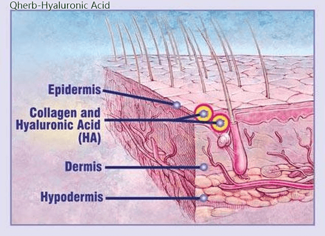 Explore the beautiful you with Hyaluronic Acid