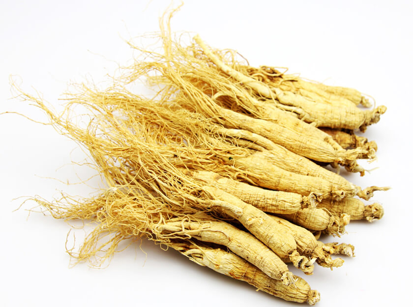 Some major health benefits related to the Panax Ginseng Extract