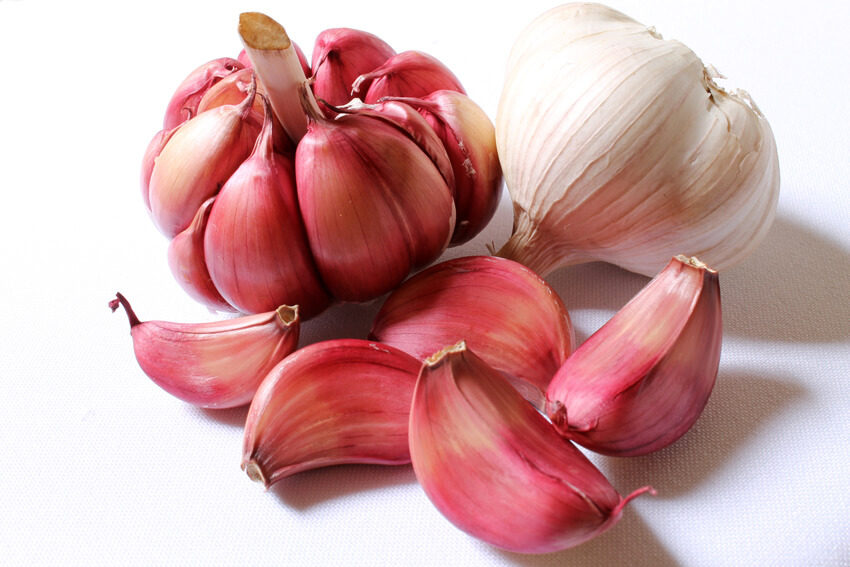 What are the health benefits of Garlic Extract