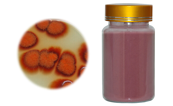 Provided Best Red Yeast Rice Powder by Leading Botanical Ingredients Supplier