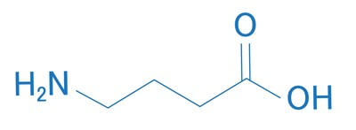 Gamma aminobutyric acid（GABA）