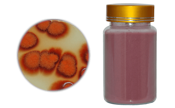 Functional Red Yeast Rice powder are fermented from solid substance.