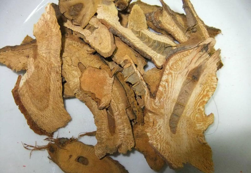 Polygonum Cuspldatum Extract