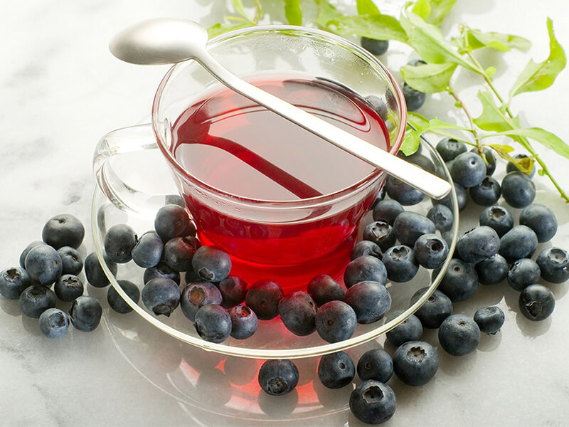 bilberry extract