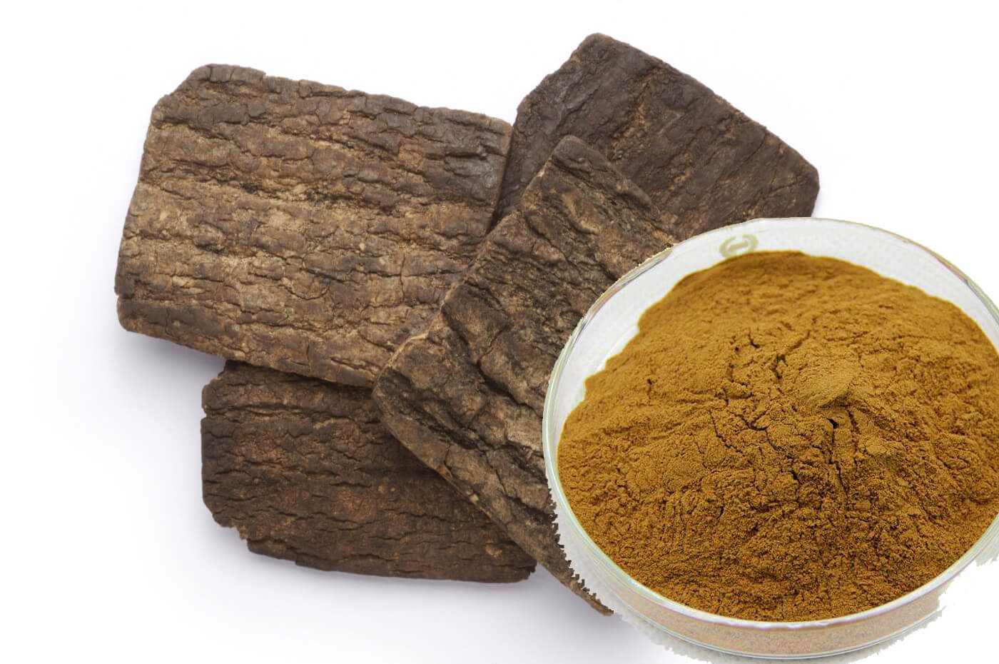 Eucommiae ulmoides Extract