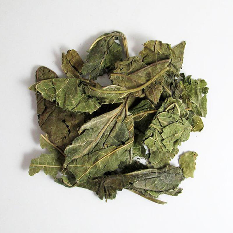  Mulberry leaf extract