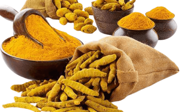 Turmeric Root Extract