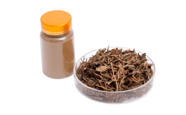 Dandelion herb Extract