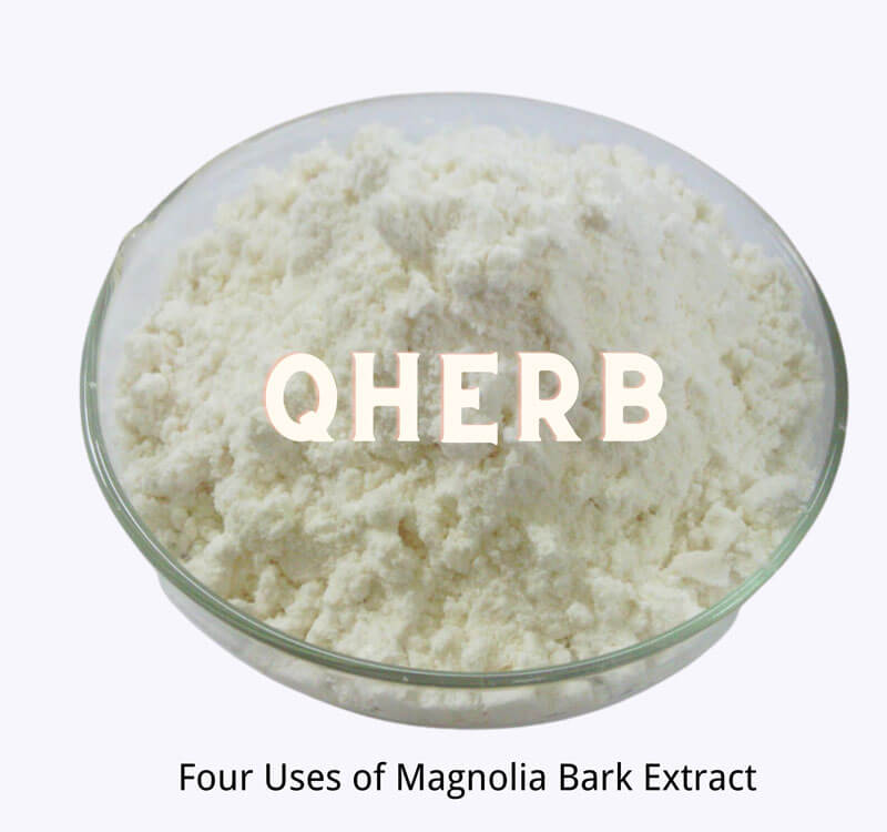 Four Uses of Magnolia Bark Extract - Blog - Quality Herb-bilberry