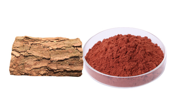 pine bark extract