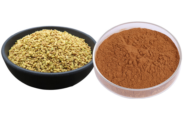 fenugreeek seed extract