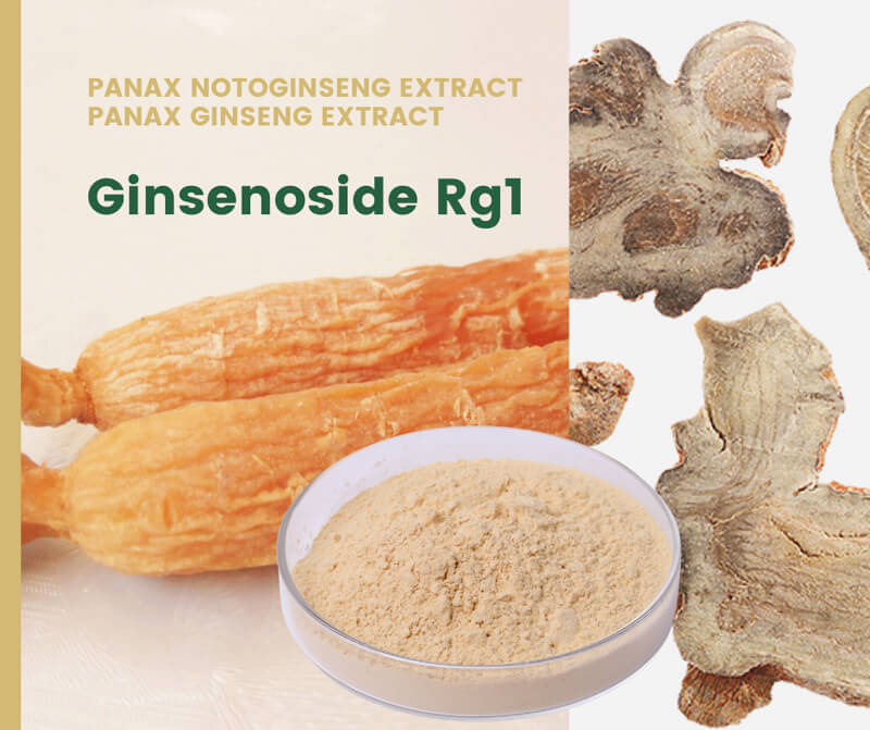 Ginsenoside Rg1 