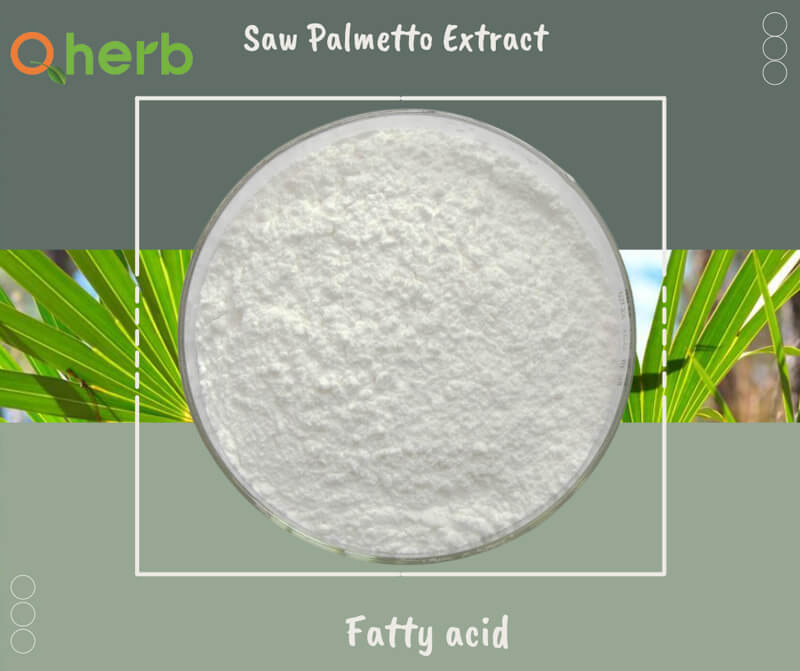 saw palmetto extract Fatty acid