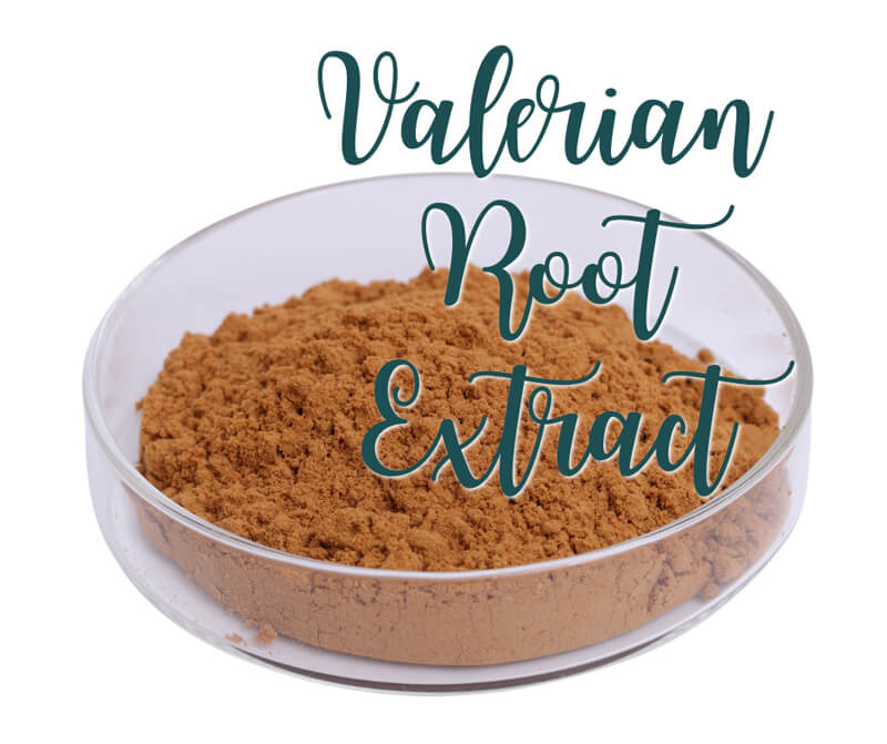 Valerian Root Extract