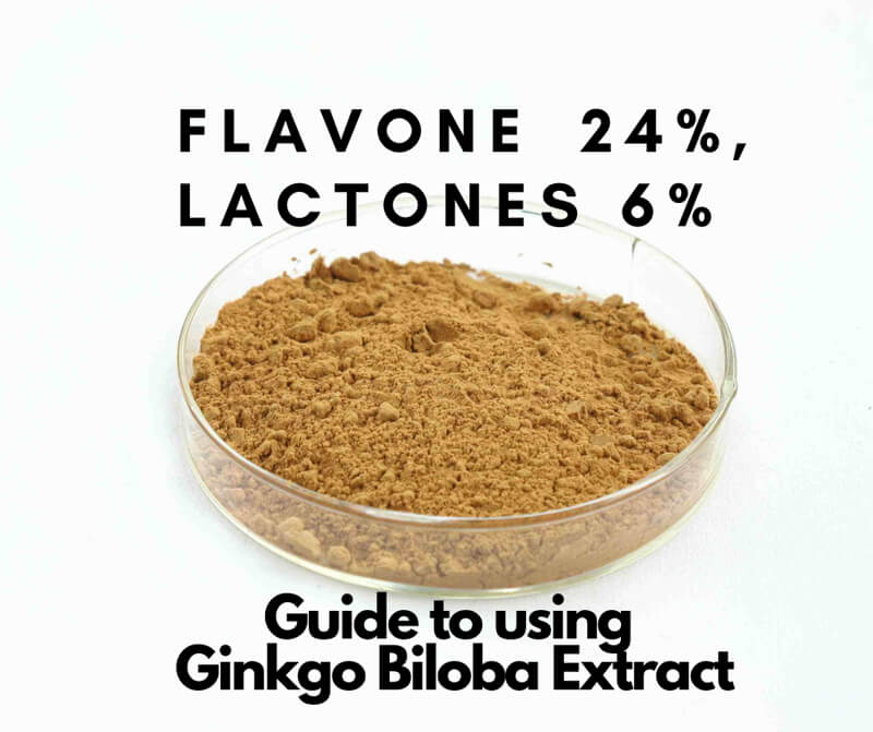 Ginkgo Biloba Extract