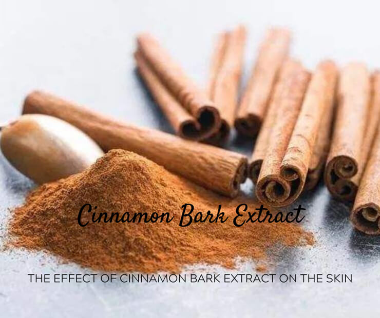 cinnamon bark extract
