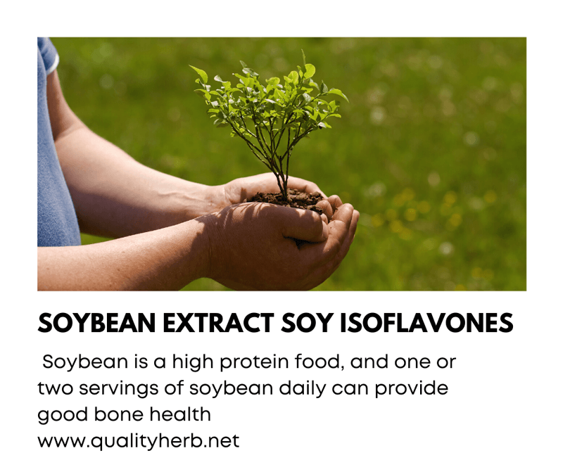 Soy Isoflavones