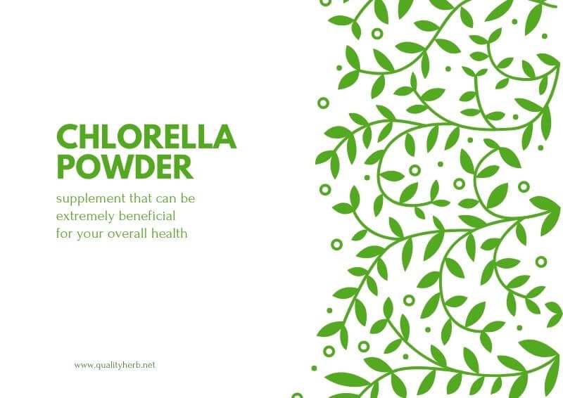 Chlorella Powder