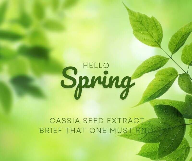 Cassia Seed Extract