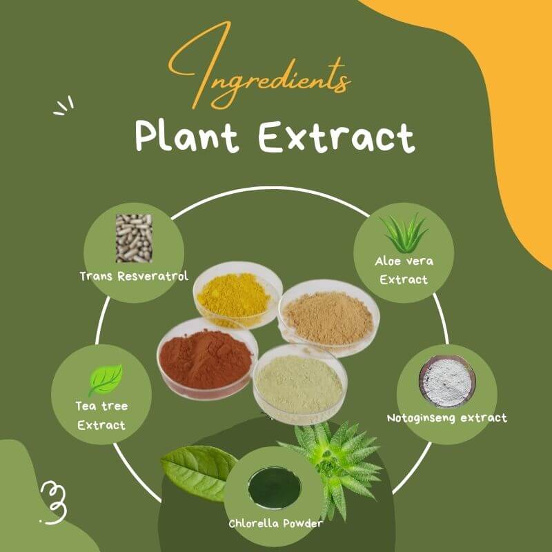 plant extract