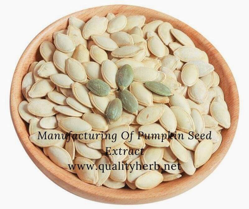 Manufacturing Of Pumpkin Seed Extract