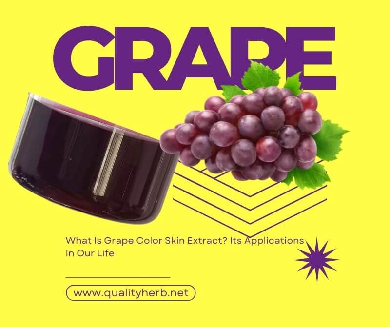 Grape Color Skin Extract
