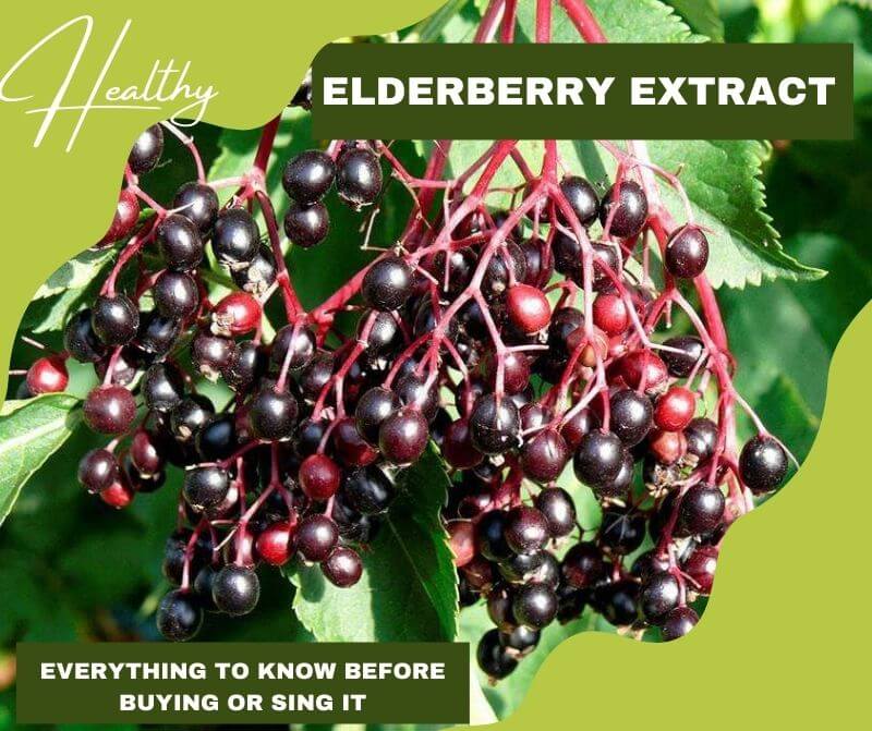 Elderberry extract