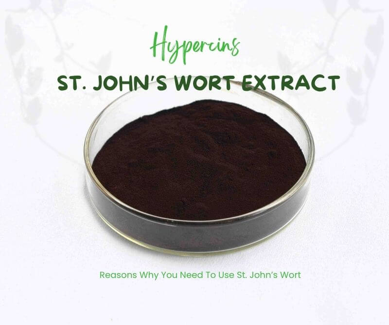 St. John’s Wort Extract