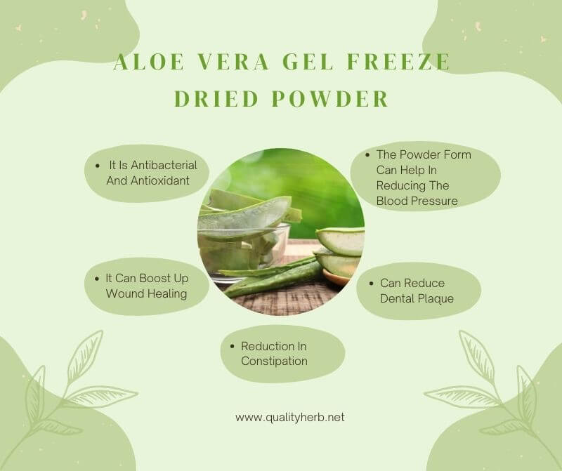 Aloe Vera Gel Freeze Dried Powder