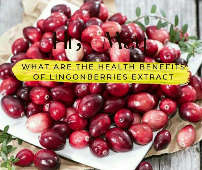 Lingonberries Extract