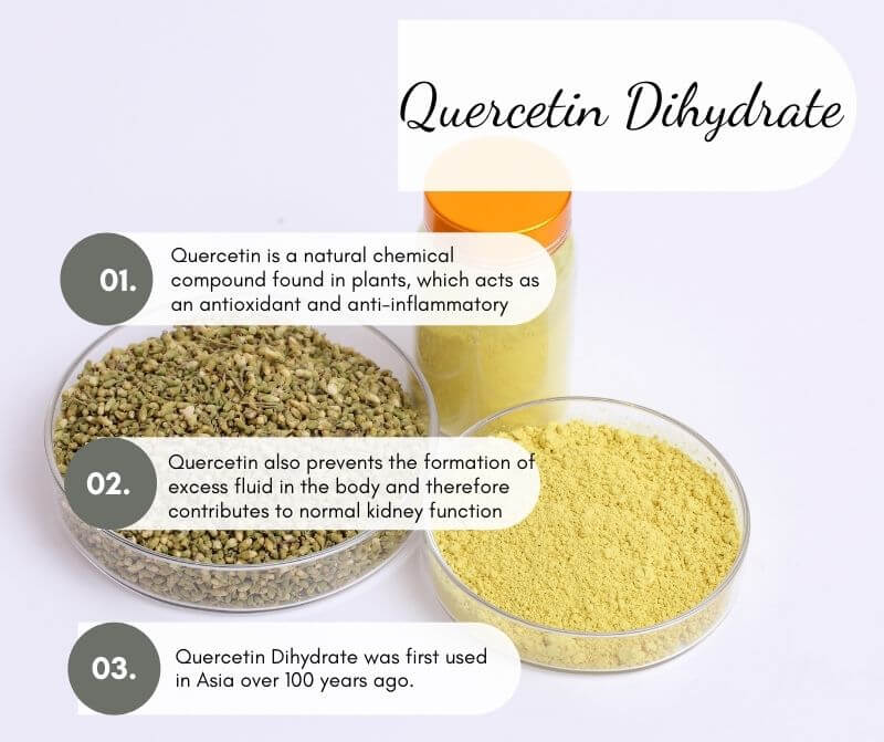 Quercetin Dihydrate