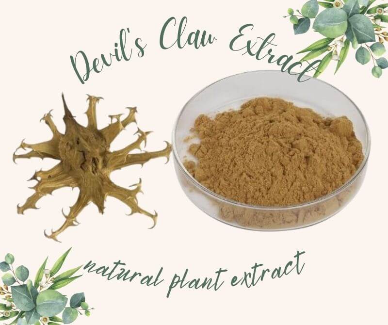 Devils Claw Extract