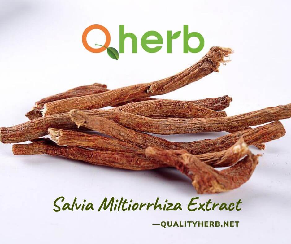 Salvia Miltiorrhiza Extract