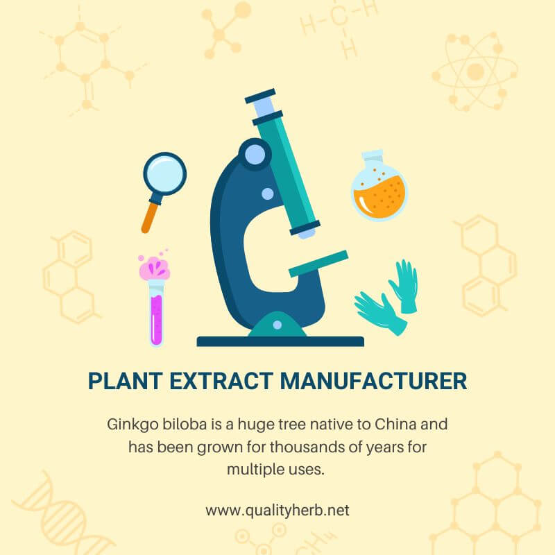 Plant Extract Manufacturer