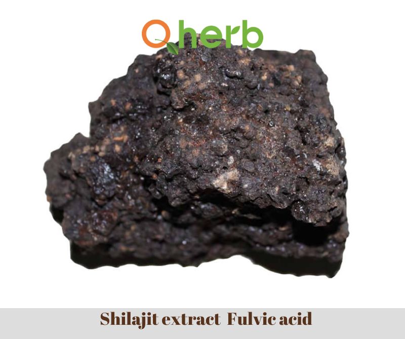 Shilajit extract  Fulvic acid 