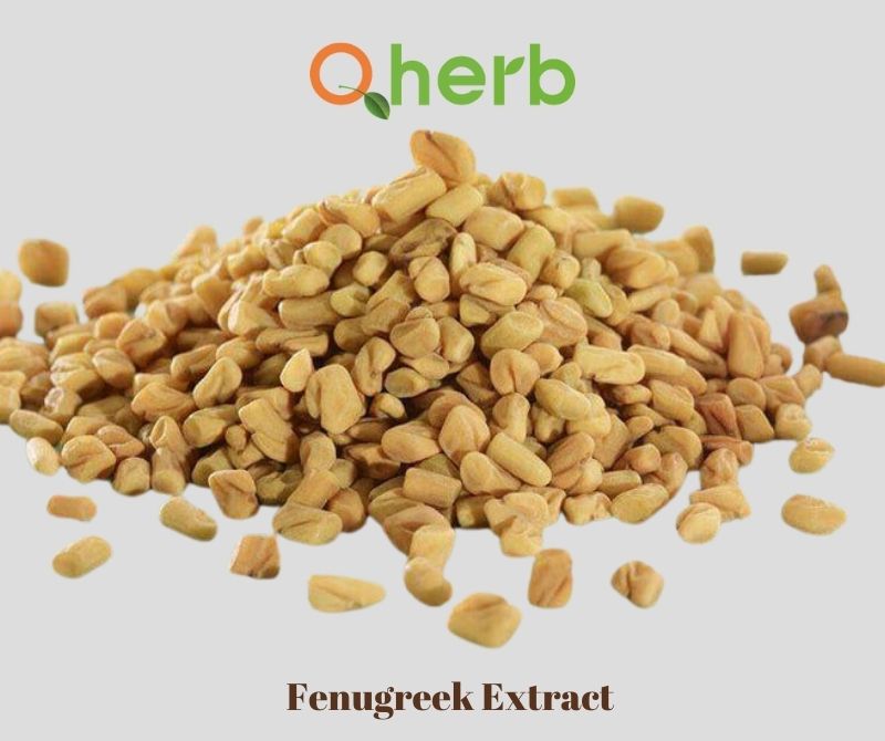 Fenugreek Extract 