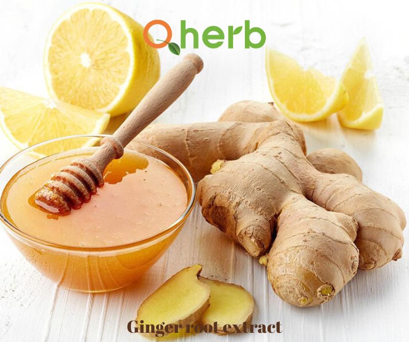 Ginger root extract