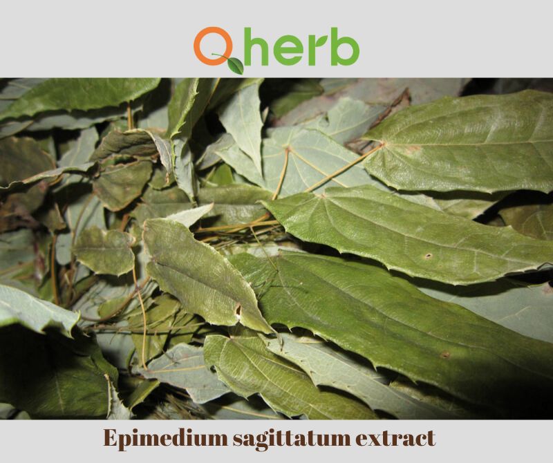 Epimedium sagittatum extract