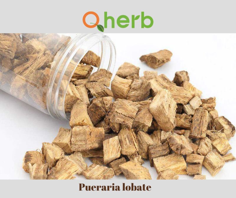 Pueraria lobate