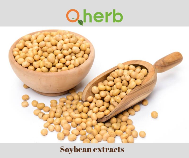 Soybean extracts