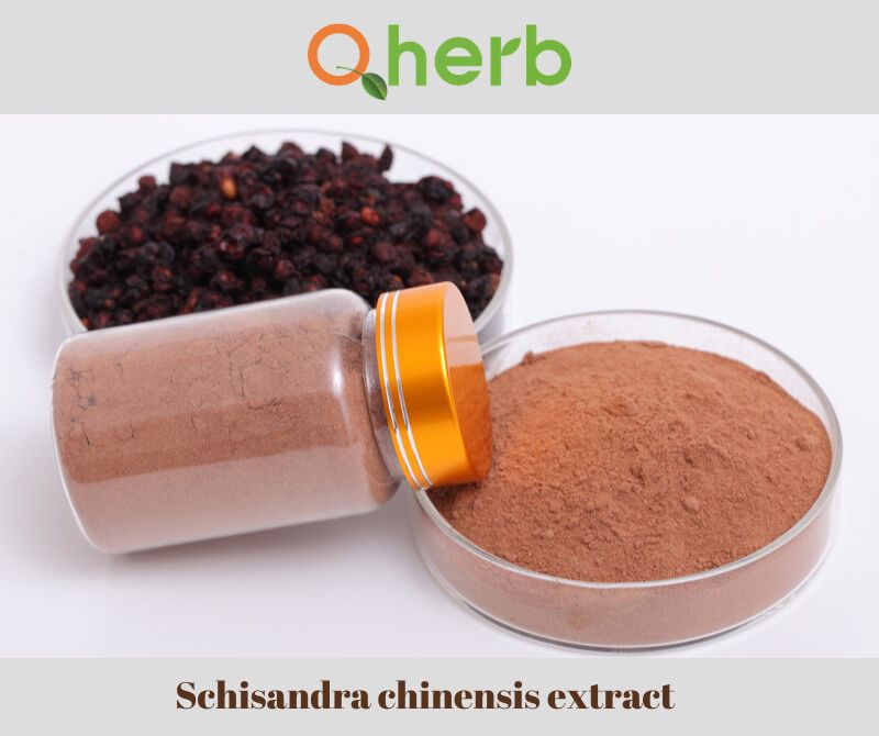 Schisandra chinensis extract