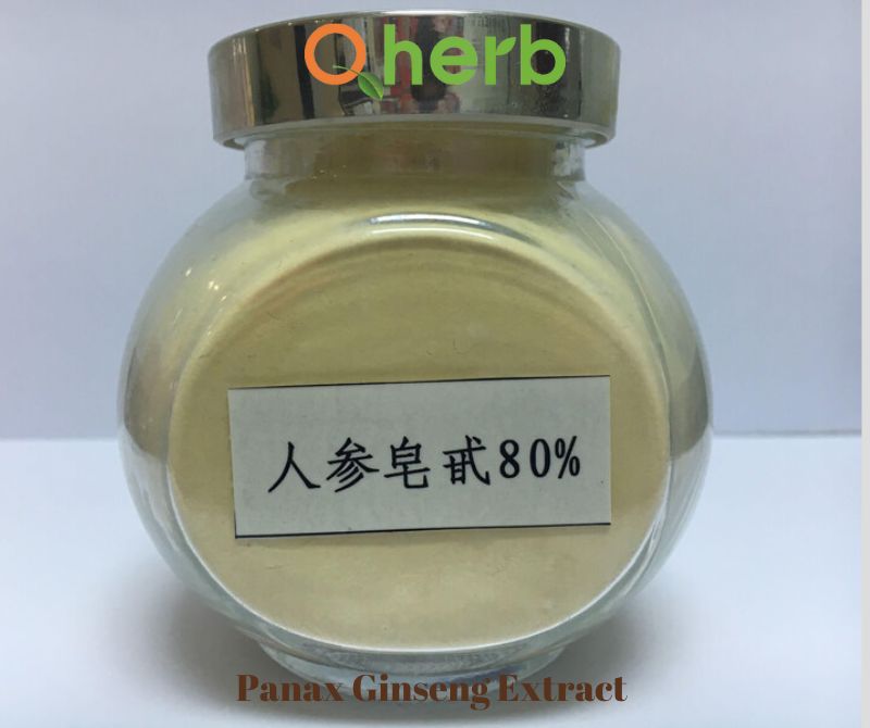 Panax Ginseng extract