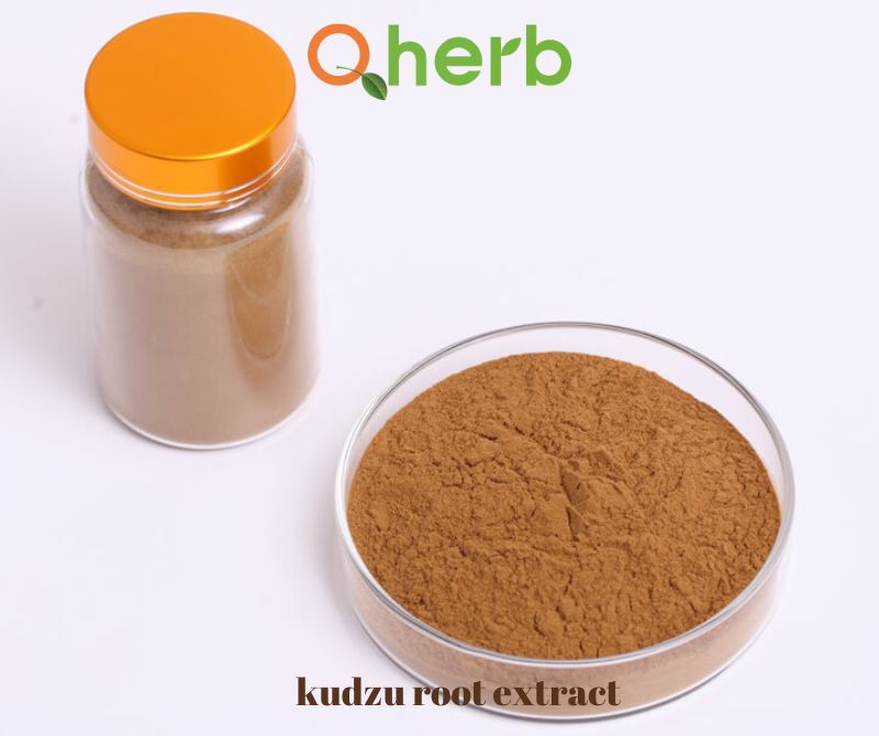 kudzu root extract 